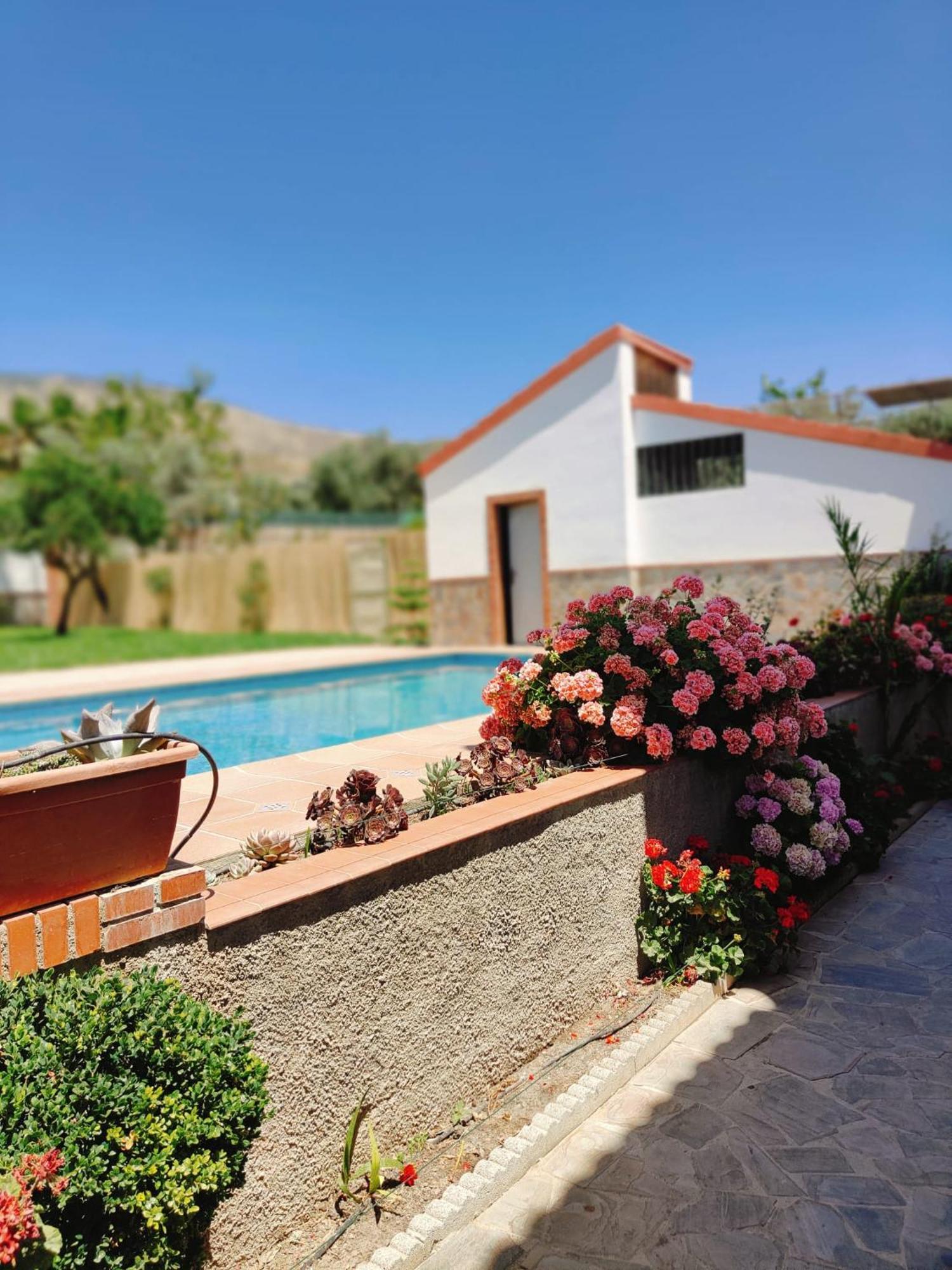 Casa Rural Las Cuatro Flores ออร์กิวา ภายนอก รูปภาพ
